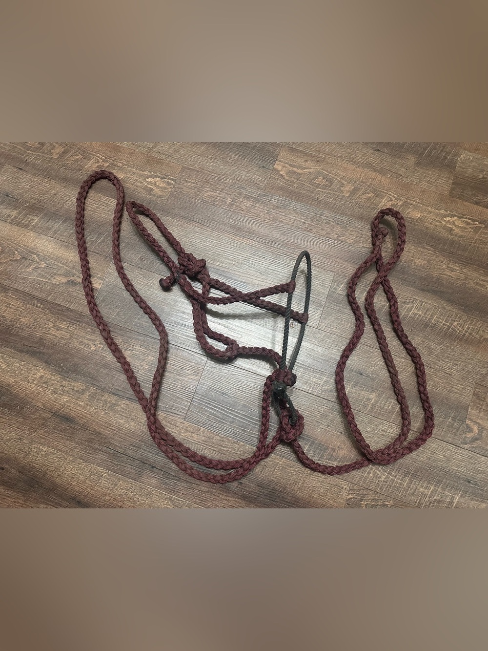 Horse Tack - Burgundy Mule Tape Loping Hackamore Bitless Bridle Mecate Western